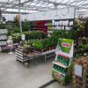 Aanbod planten - Afbeelding 2